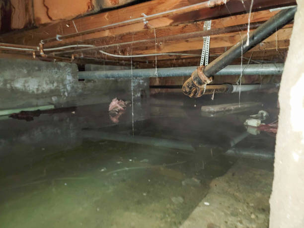 Best 24/7 water damage repair  in Bluffton, OH