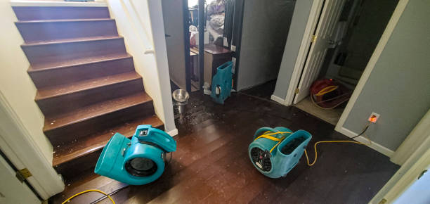 Best Carpet water damage restoration  in Bluffton, OH