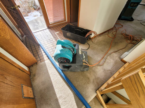 Best Professional water damage repair  in Bluffton, OH