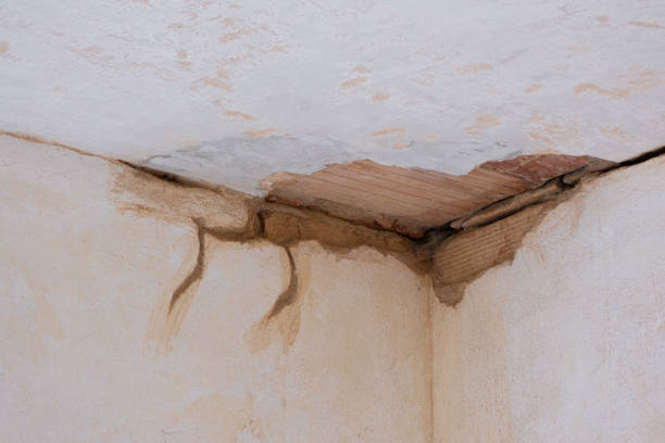 Best Water damage restoration near me  in Bluffton, OH