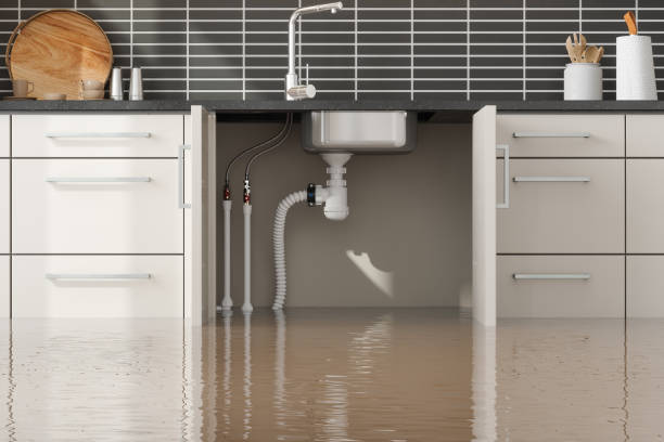 Best Residential water damage restoration  in Bluffton, OH